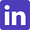 LinkedIn social icon